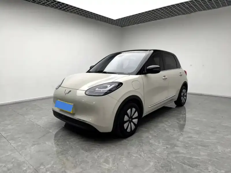 Wuling Bingo, 2024