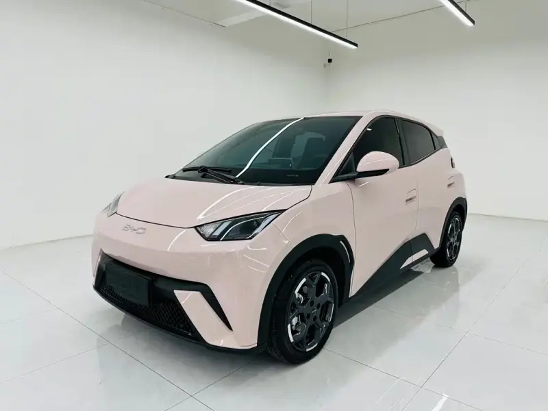 BYD Seagull, 2024