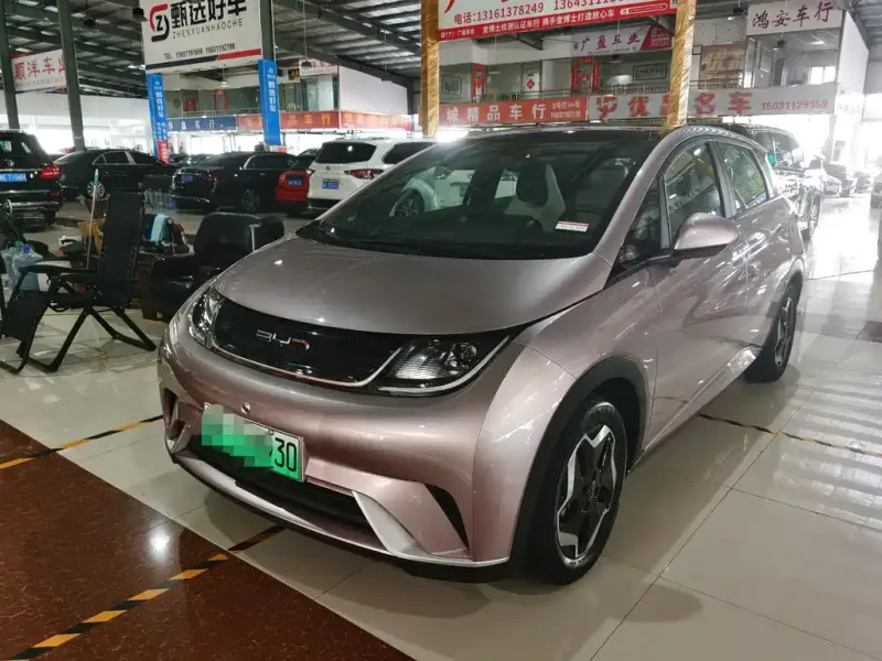 BYD Dolphin, 2022