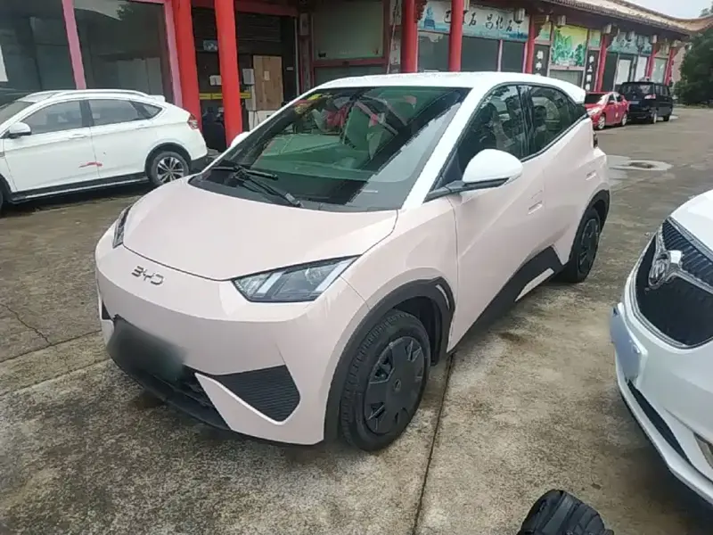 BYD Seagull, 2026