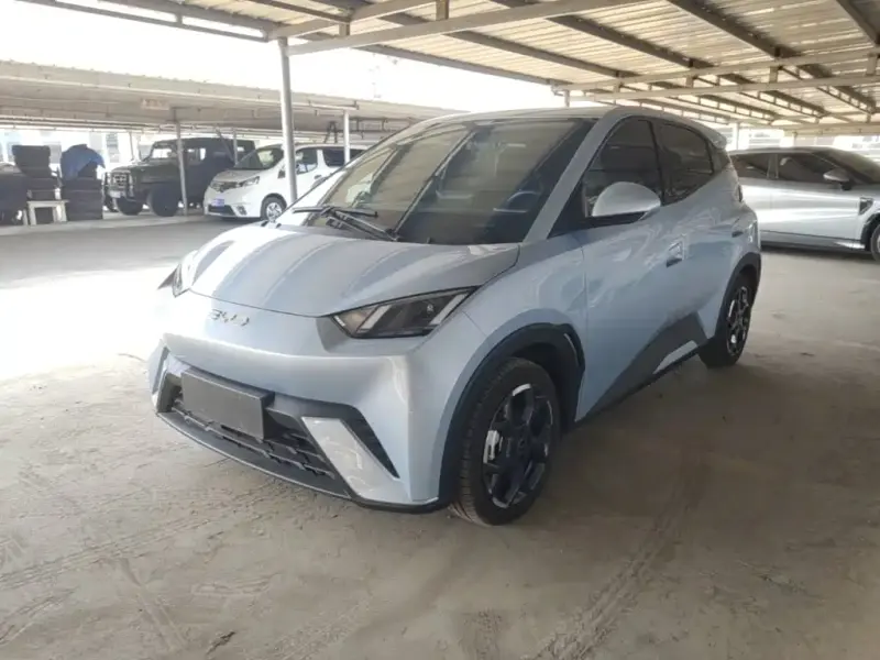 BYD Seagull, 2024