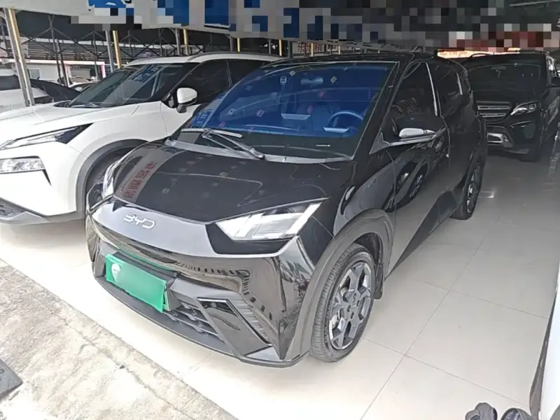 BYD Seagull, 2024