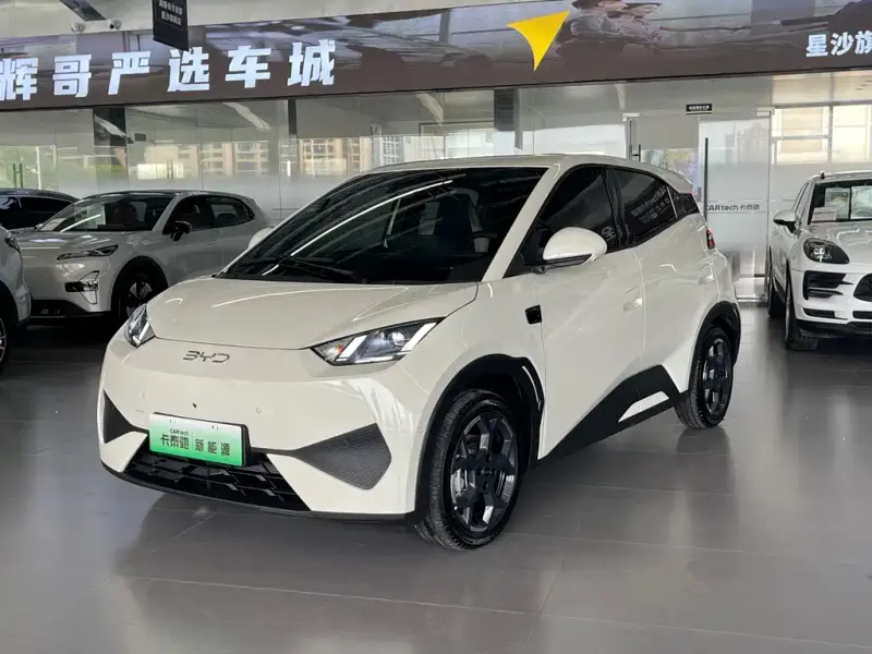 BYD Seagull, 2025