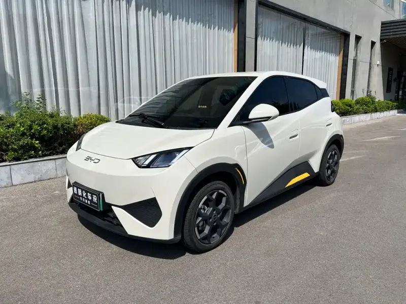 BYD Seagull, 2025