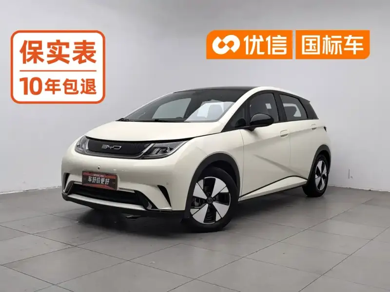 BYD Dolphin, 2024