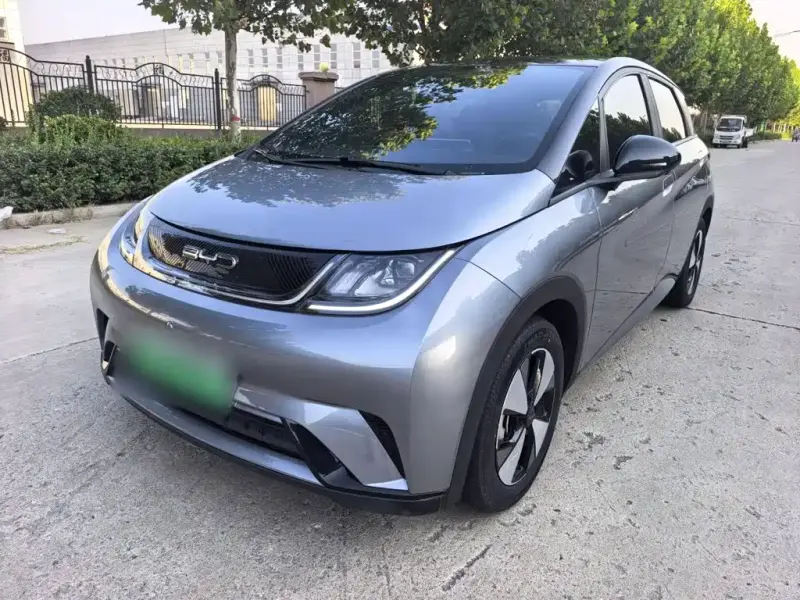 BYD Dolphin, 2023