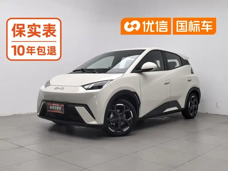 BYD Seagull, 2025