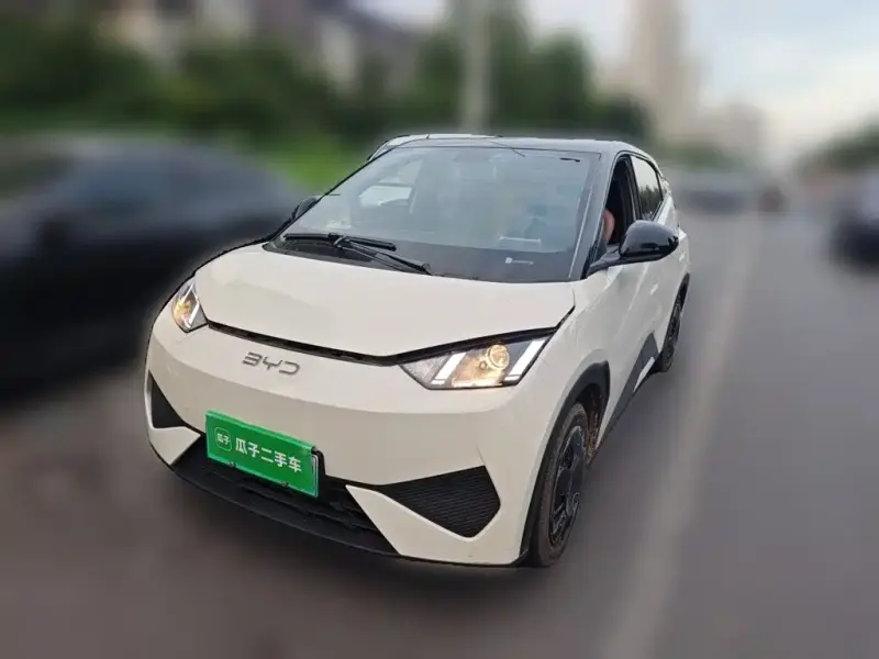 BYD Seagull, 2026
