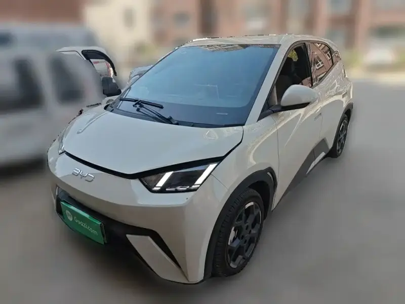 BYD Seagull, 2025