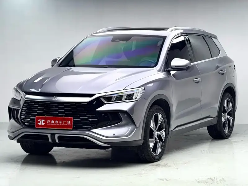 BYD Pro New Energy, 2023
