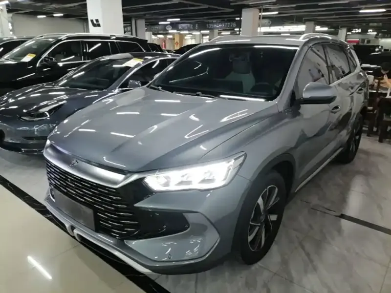 BYD Pro New Energy, 2024