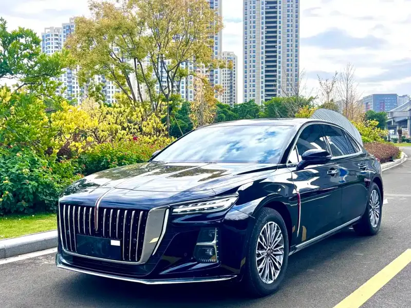 Hongqi H5, 2024