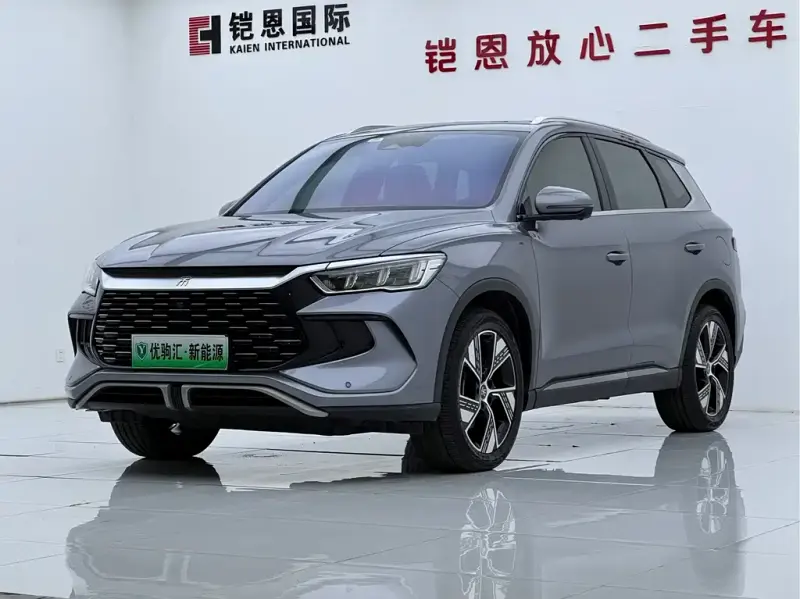 BYD Pro New Energy, 2023