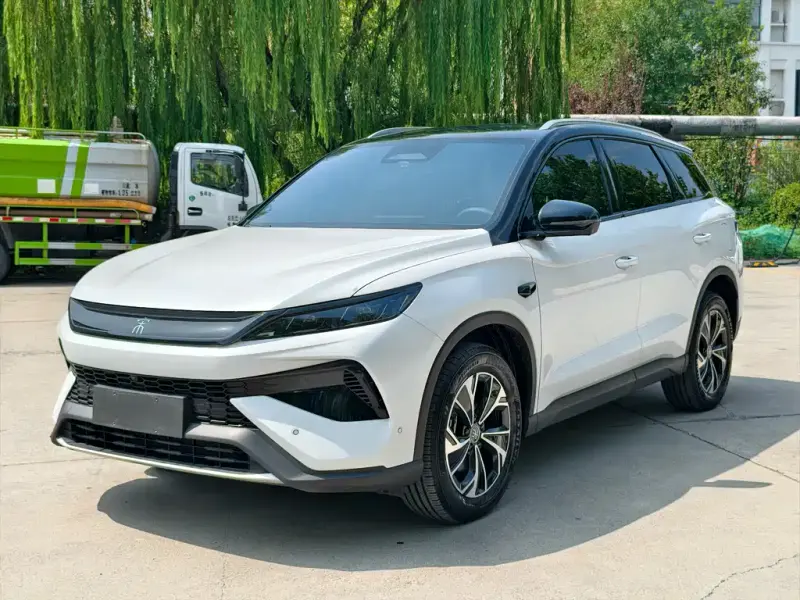 BYD Pro New Energy, 2025