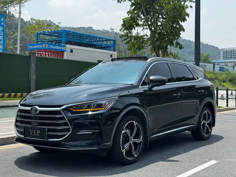 BYD Tang New Energy, 2021