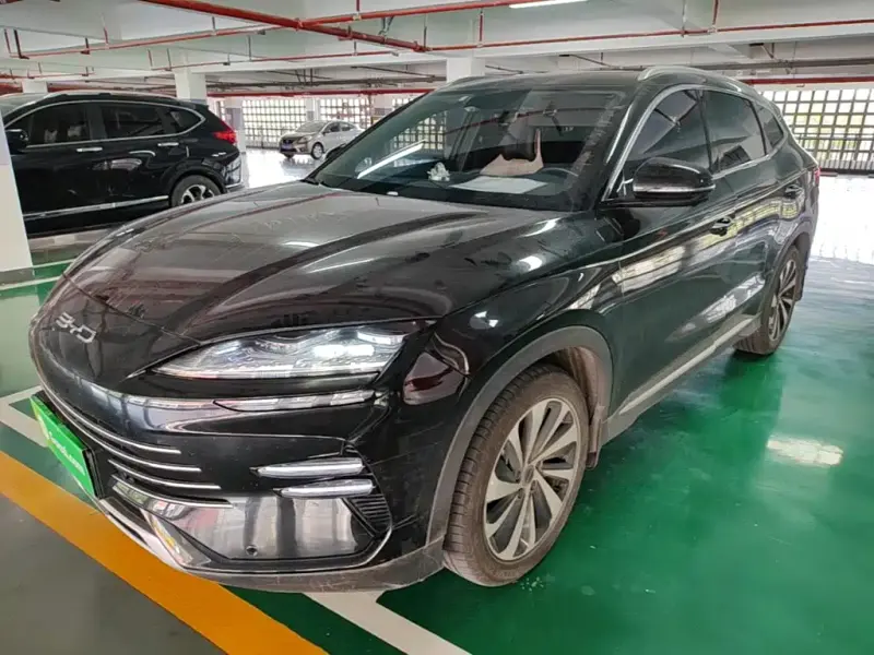 BYD PLUS New Energy, 2023