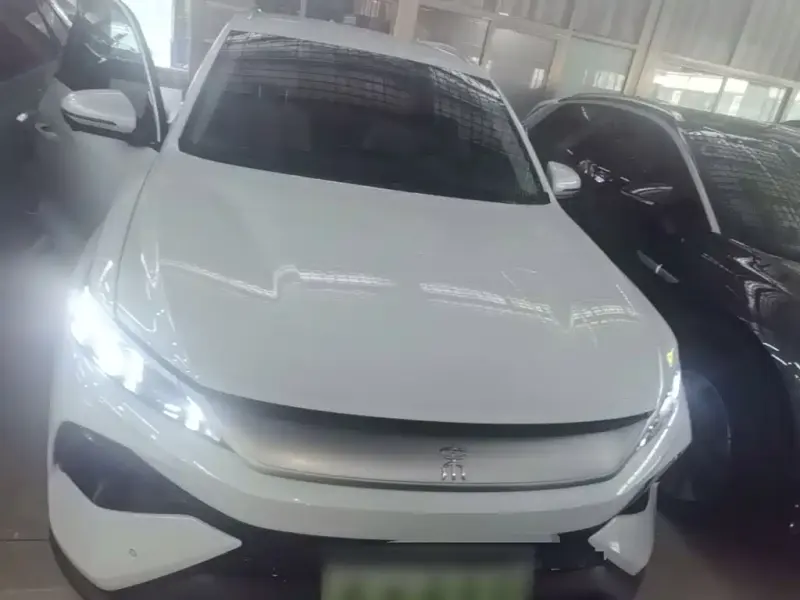 BYD Pro New Energy, 2025