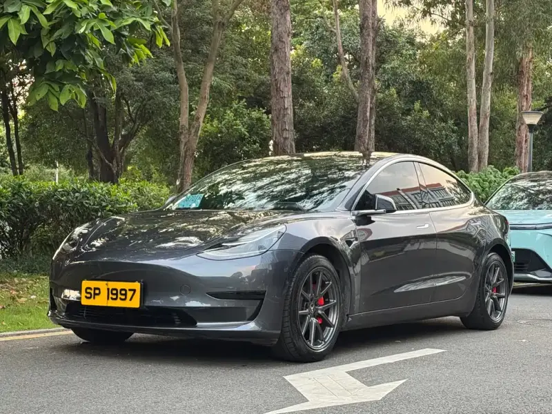 Tesla Model 3, 2020