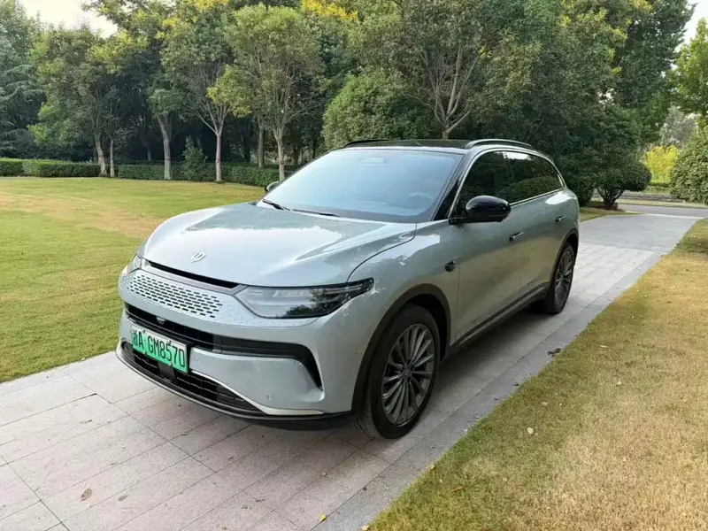 Leapmotor C11, 2024
