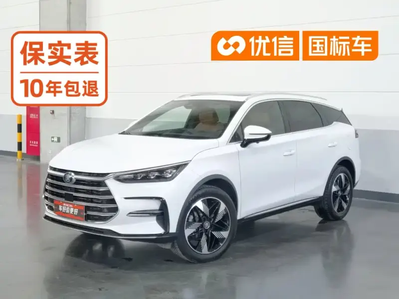 BYD Tang New Energy, 2023