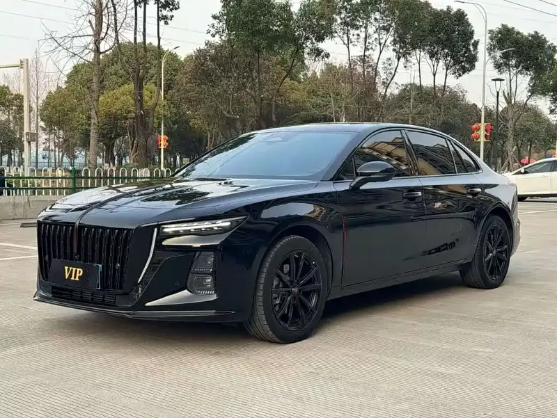 Hongqi H5, 2024