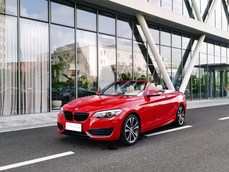 BMW 2 Series (Import), 2020