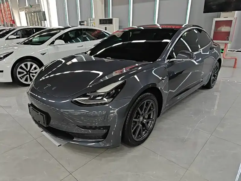 Tesla Model 3 Tesla Model 3 2019 Standard Range RWD Upgrade Edition, 2020 — фото 1