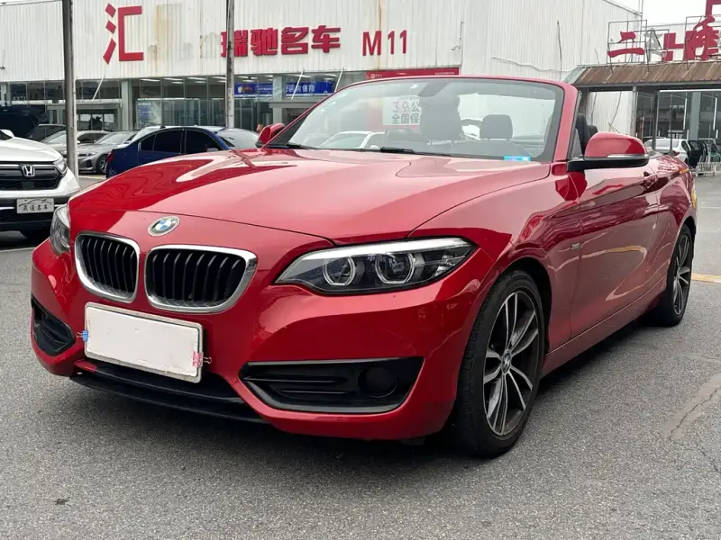 BMW 2 Series (Import), 2018