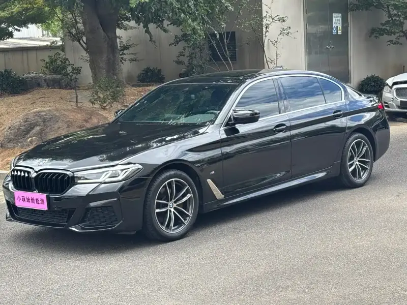 BMW 5 Series, 2021