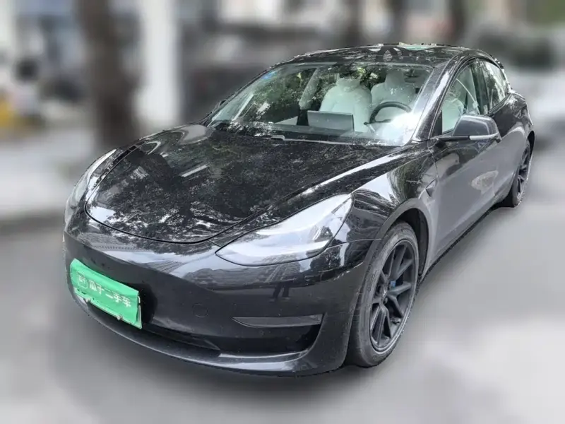 Tesla Model 3 Tesla Model 3 (Import) 2019 Long Range AWD Edition, 2020 — фото 1