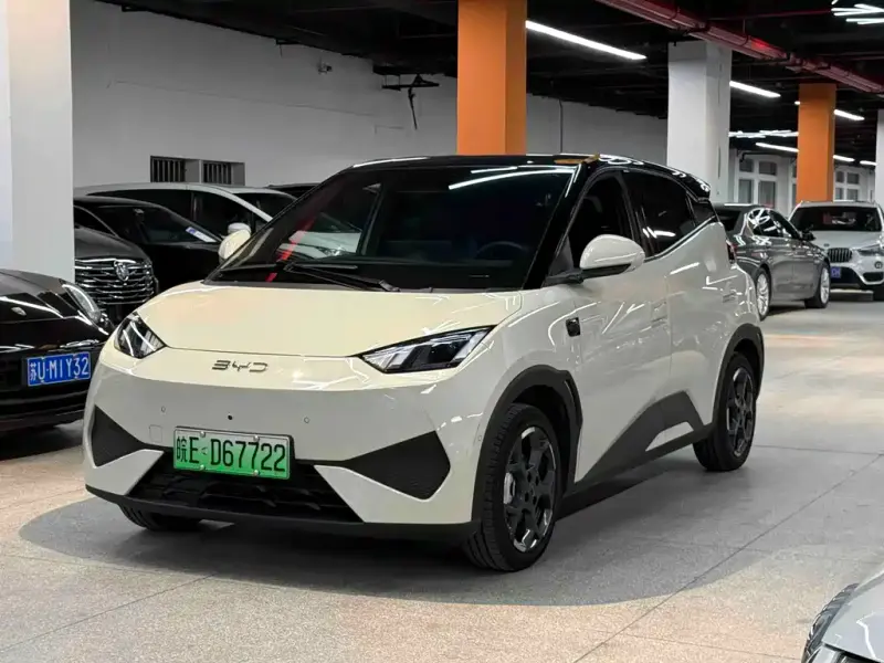 BYD Seagull, 2025