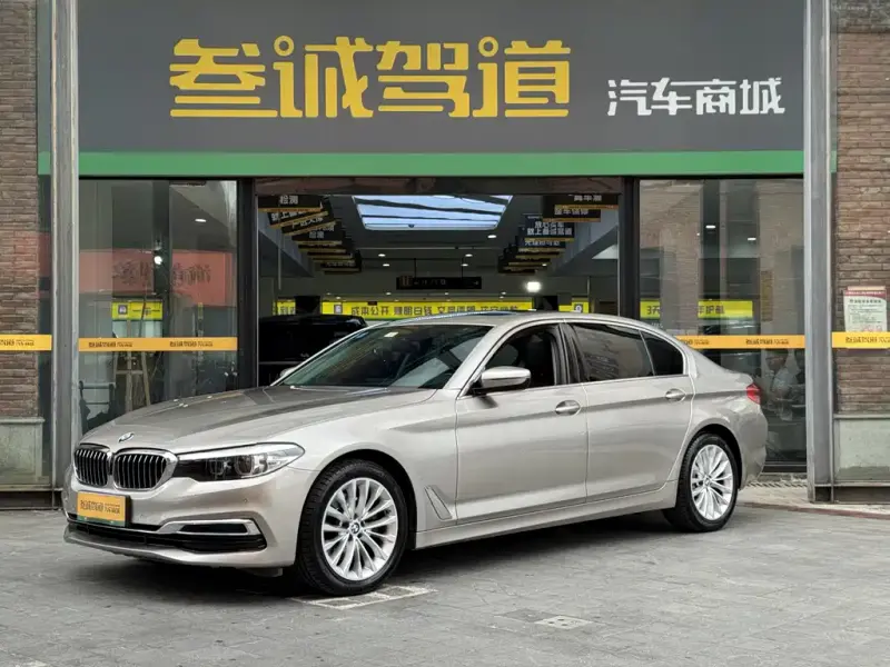 BMW 5 Series, 2019