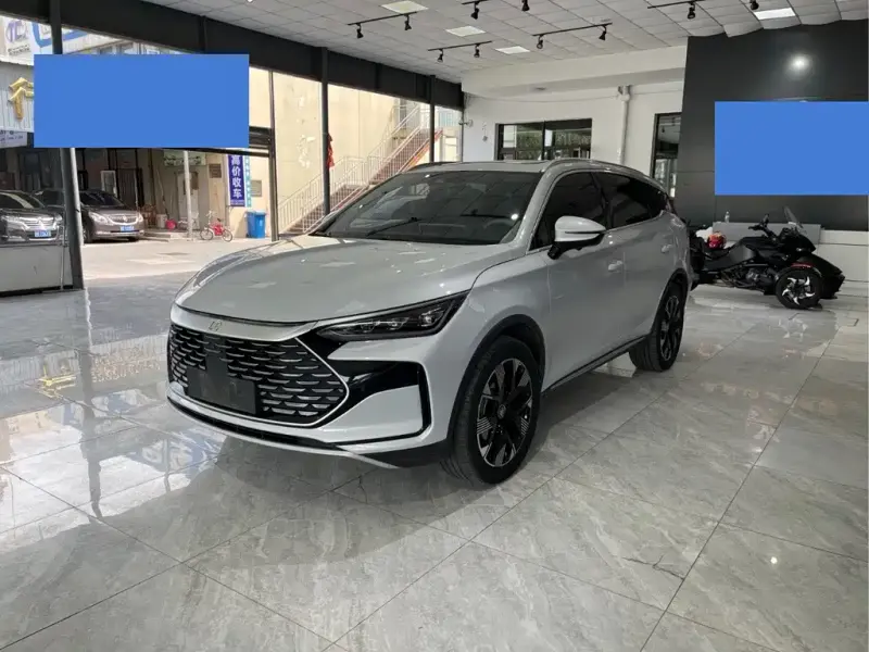 BYD Tang New Energy, 2024