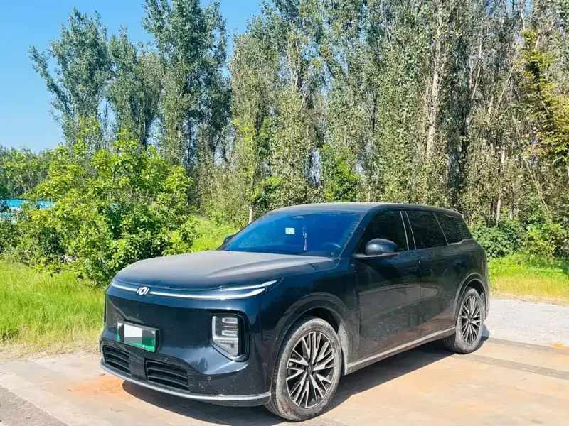 Qiyuan Q07, 2025