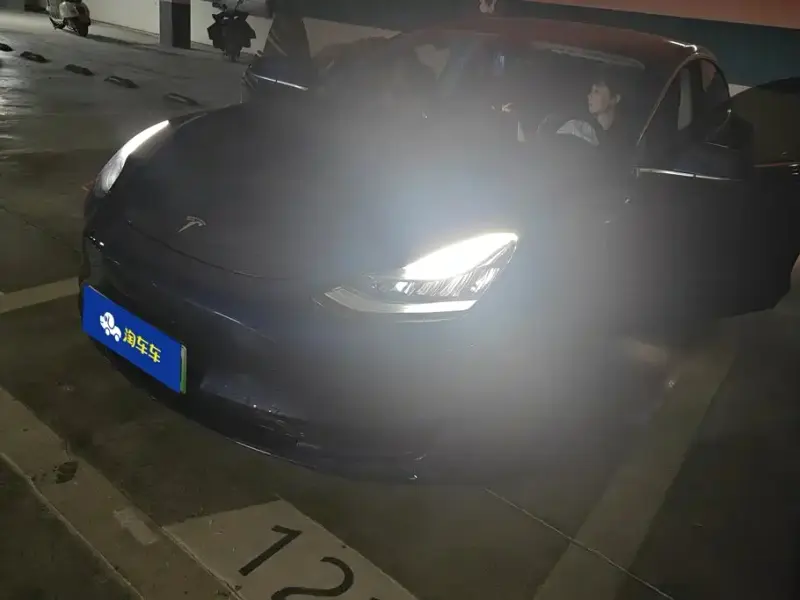 Tesla Model 3, 2020