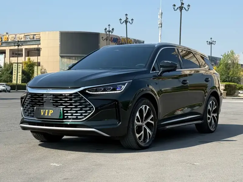 BYD Tang New Energy, 2025