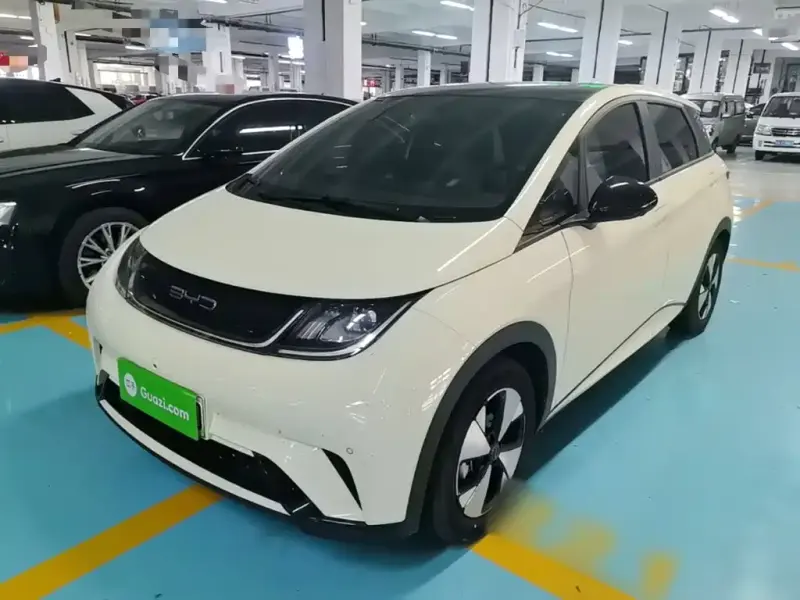 BYD Dolphin, 2024