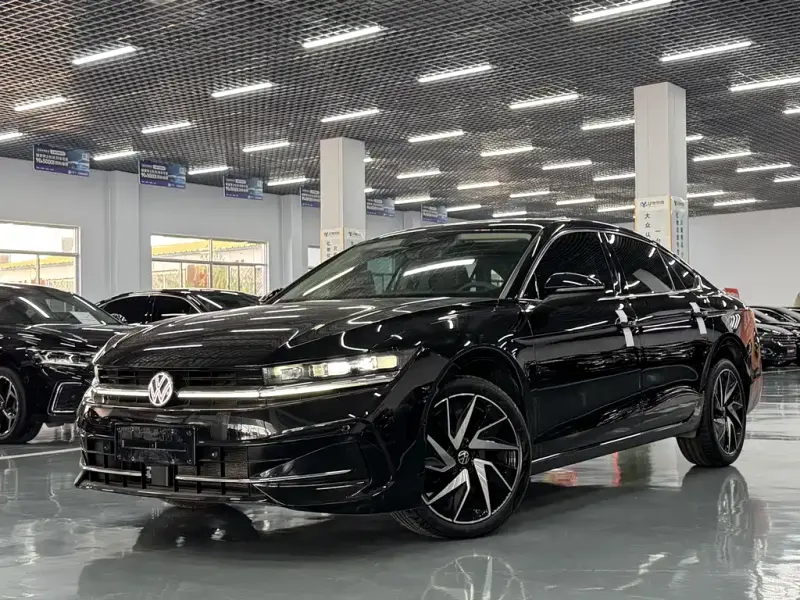 Volkswagen Magotan, 2024
