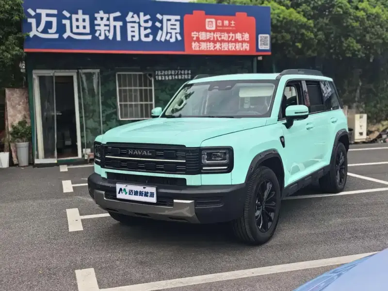 Haval Menglong New Energy, 2025