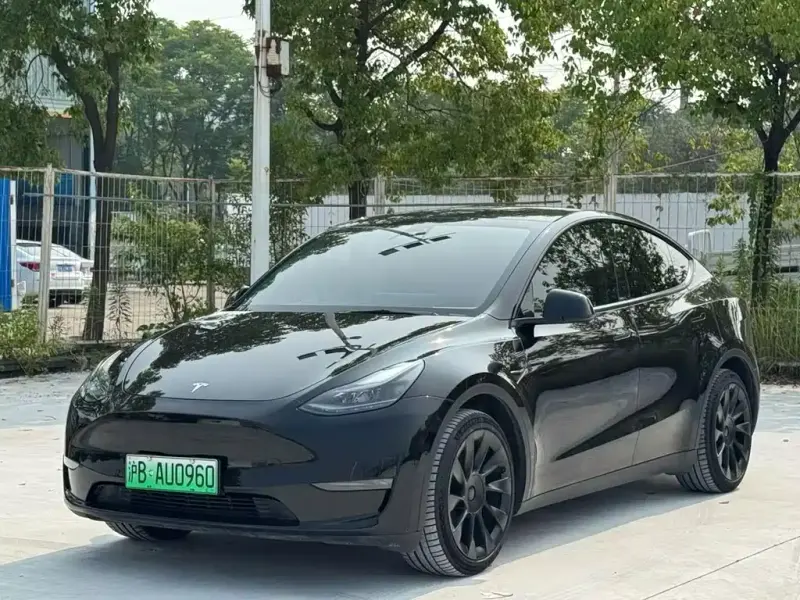 Tesla Model Y, 2021