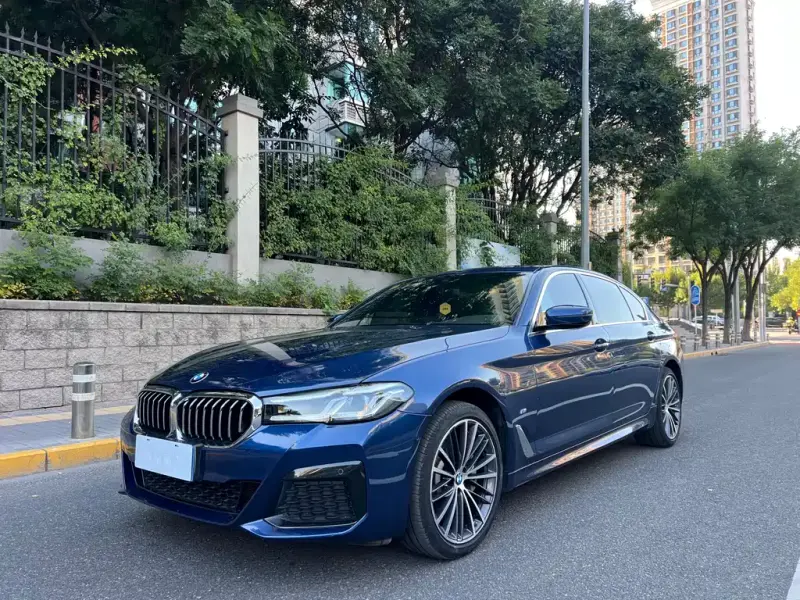 BMW 5 Series, 2020
