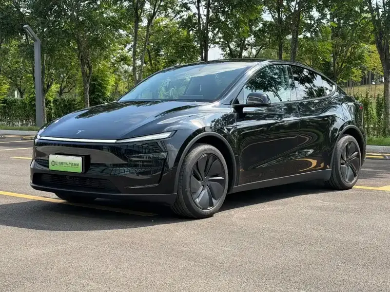 Tesla Model Y Tesla Model Y 2025 RWD Drive Dynamic Edition, 2025 — фото 1