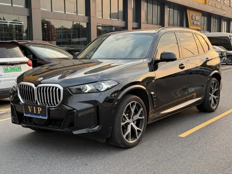 BMW X5 BMW X5 2023 xDrive 30Li Premium Type M Sport Night Package, 2024 — фото 1
