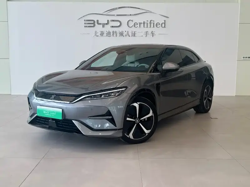 BYD L EV, 2024