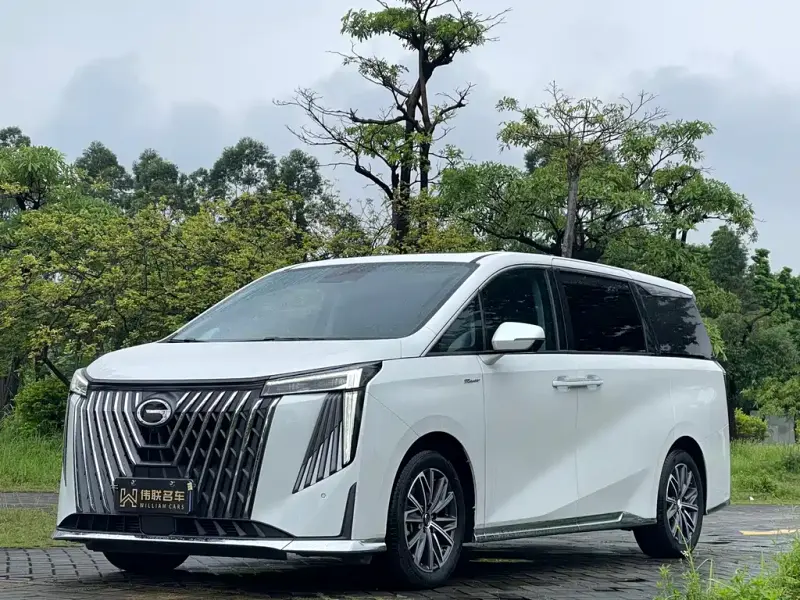 GAC Motor Trumpchi M8, 2024
