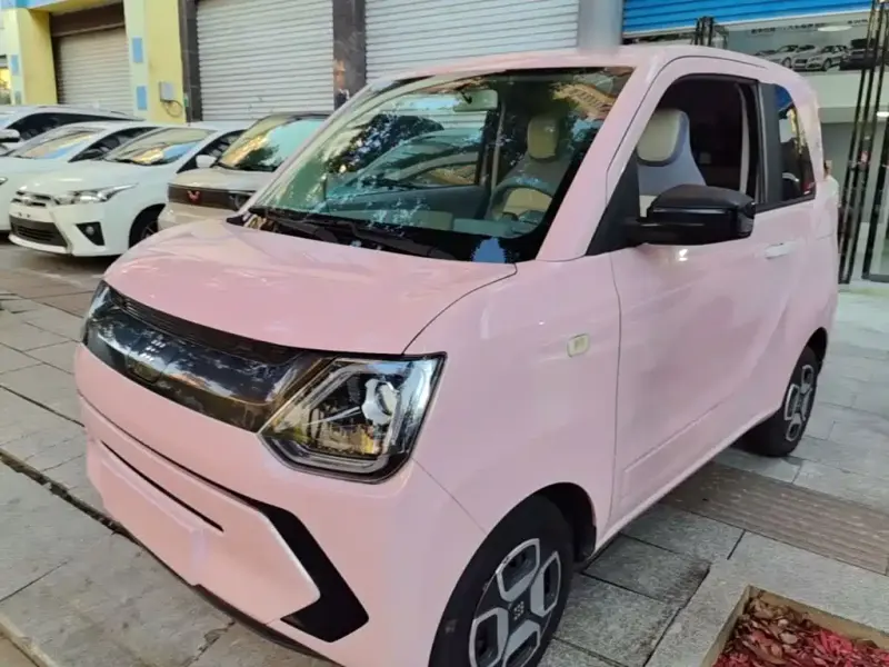 Fengguang MINIEV, 2022