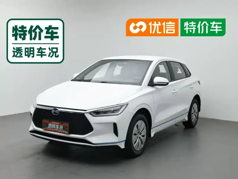 BYD e2, 2020