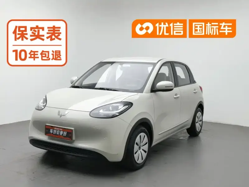 Wuling Bingo, 2023