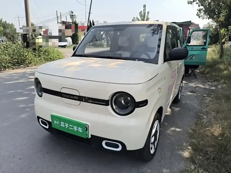 Galaxy Panda, 2025