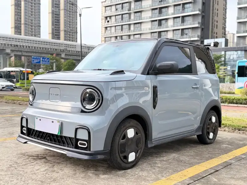 Galaxy Panda, 2024